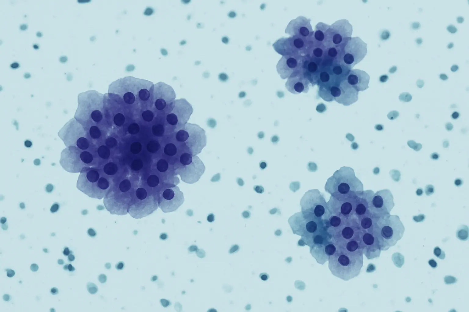 Cytopathology in Orlando