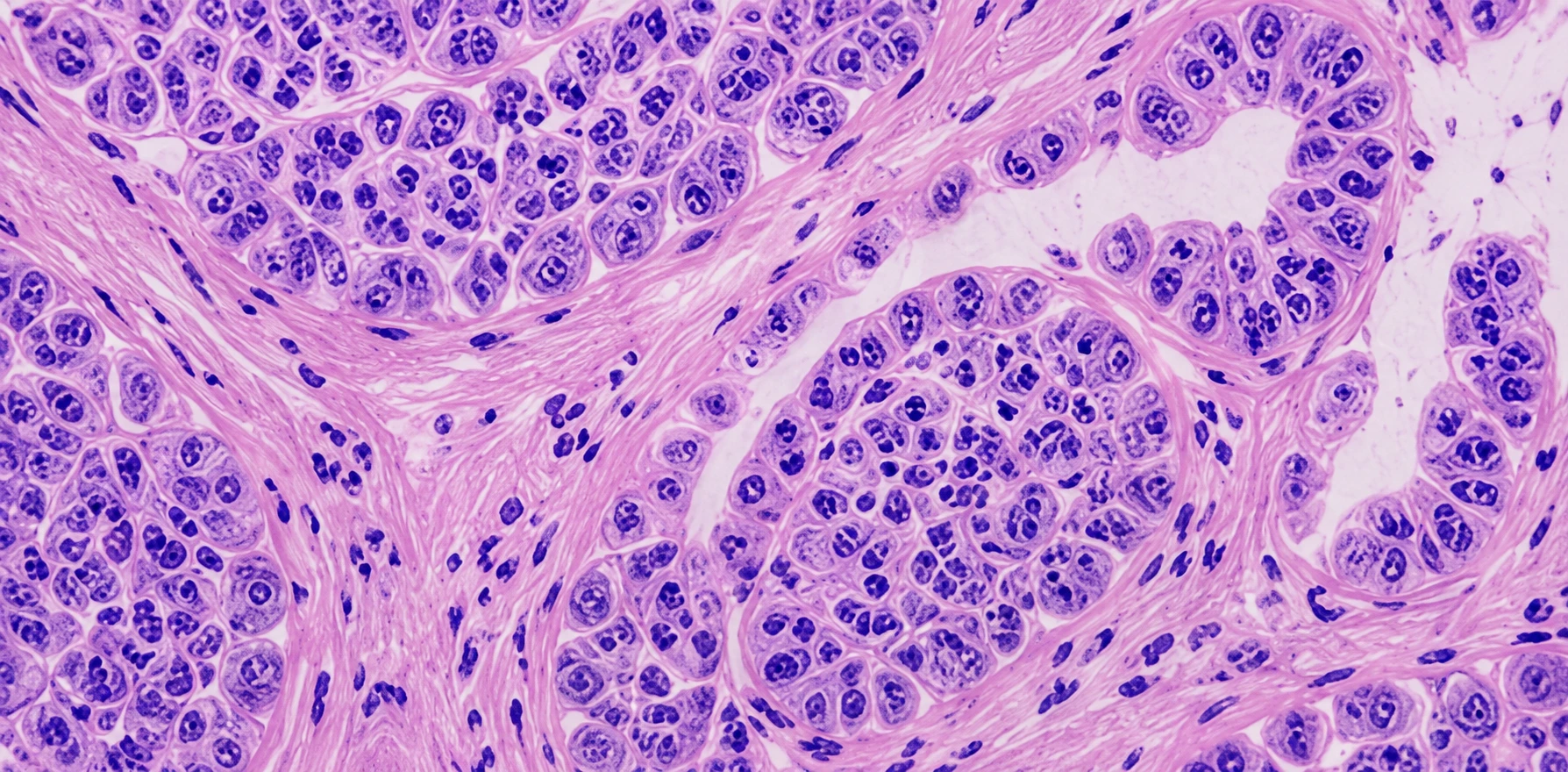th_why_choose_us - Pathology Specialists Florida